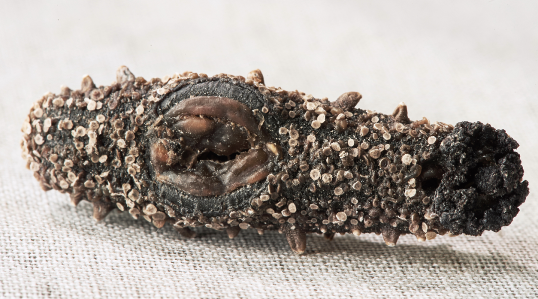 202108201325523983.png 202108201325523983.png